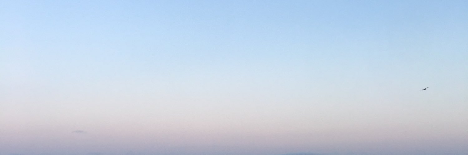 Ju banner