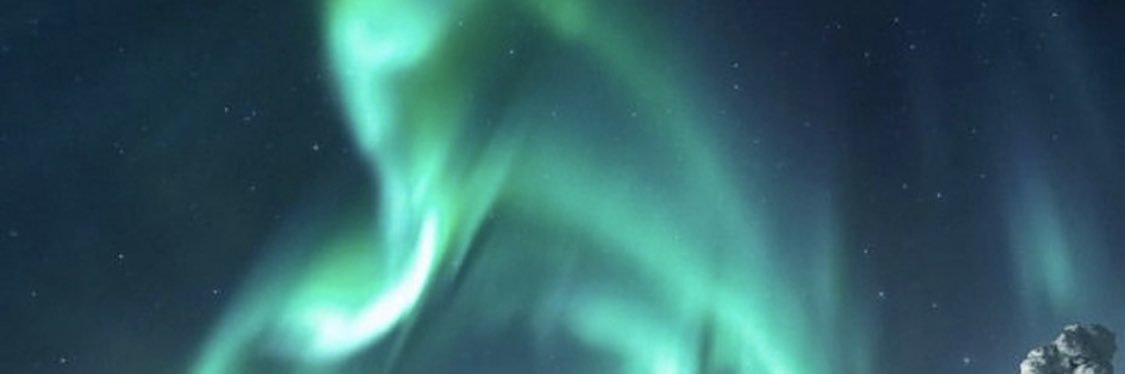 Leikonen banner