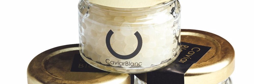 Caviarblanc's profile banner image