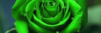 BERDYSTASPOETAS's profile banner image