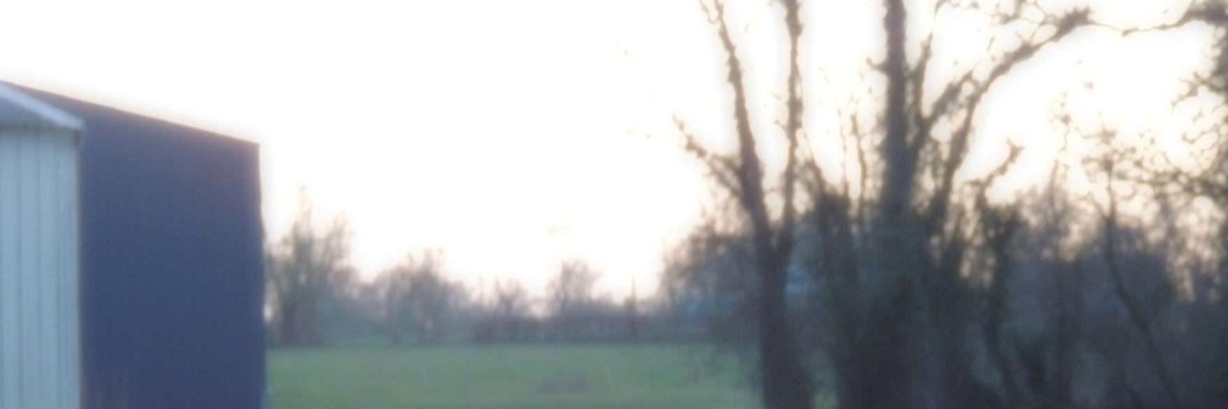 Craig Ferrie banner
