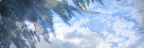 PASSA O INSTA banner