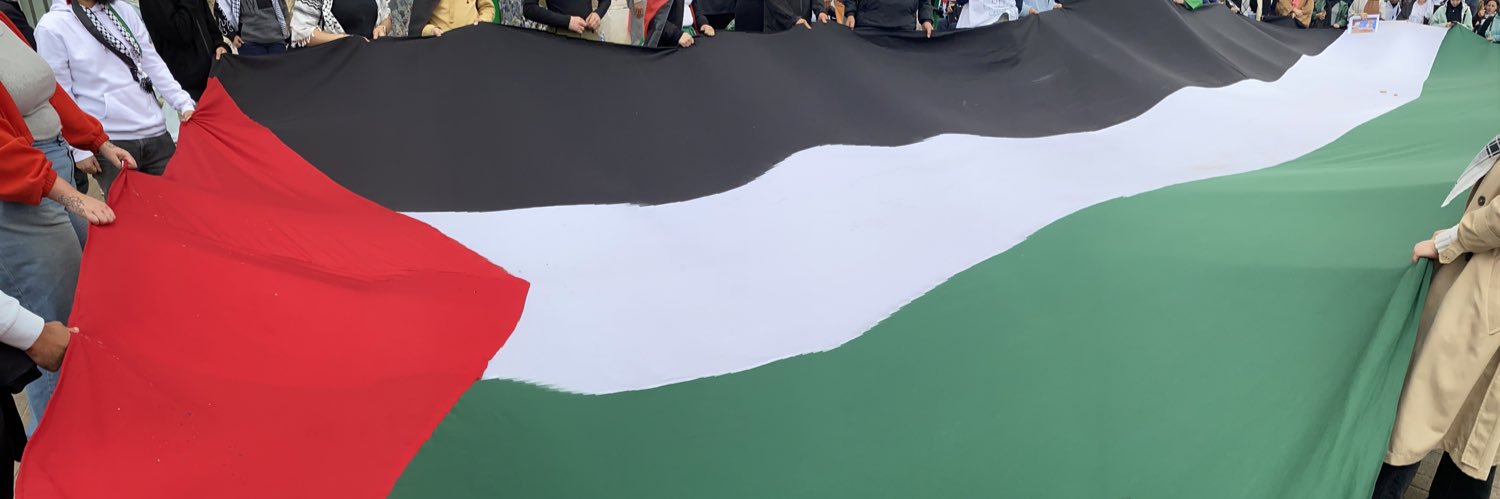 odeulae's profile banner image