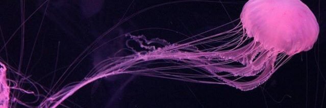 Darito96's profile banner image