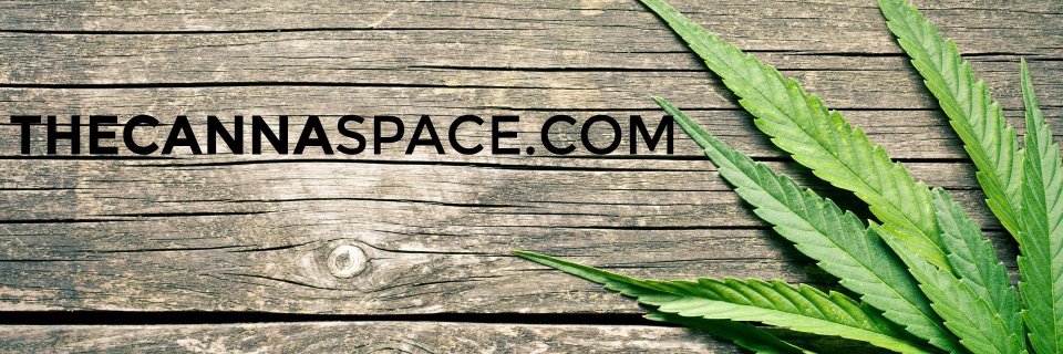 thecannaspace's profile banner image