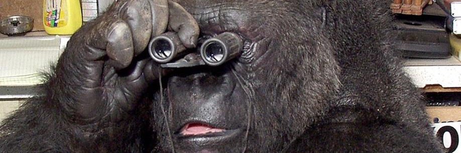 EdgarAllanFoe's profile banner image