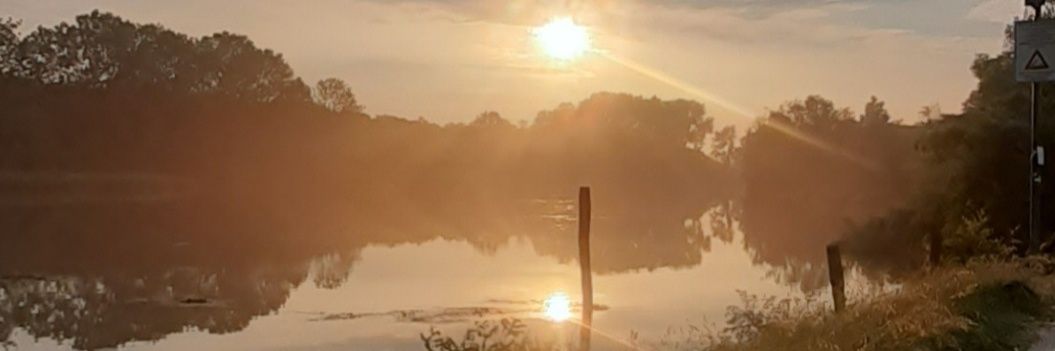 BeriandaB's profile banner image