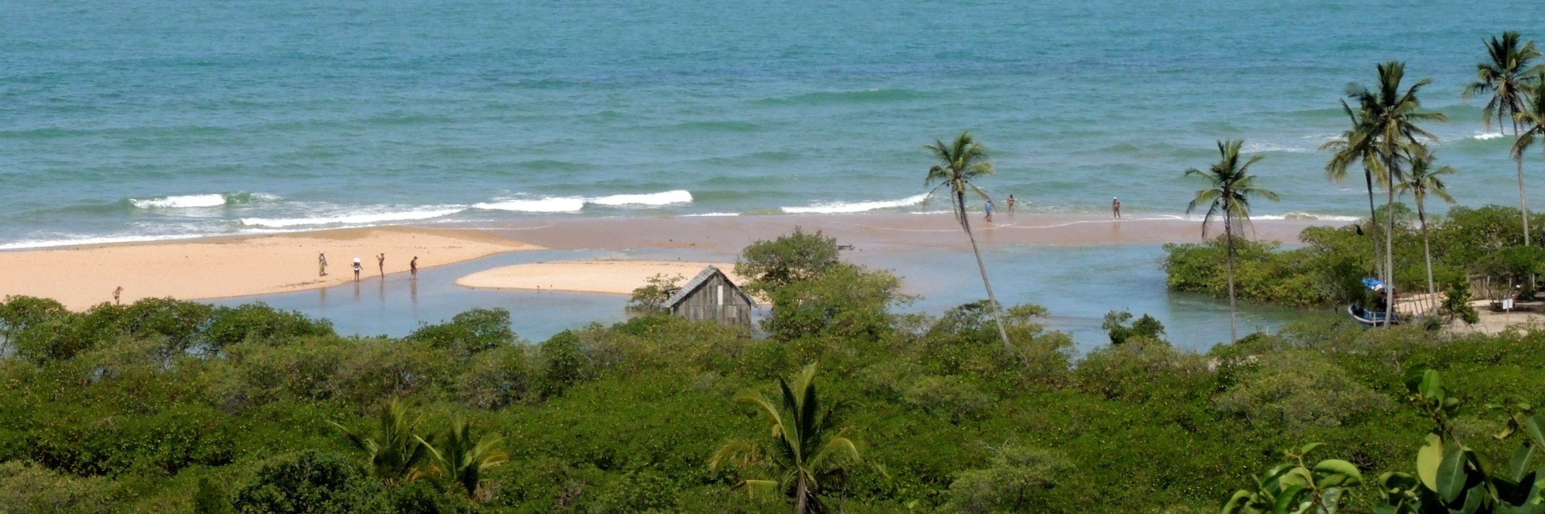 Silvana Odacio banner