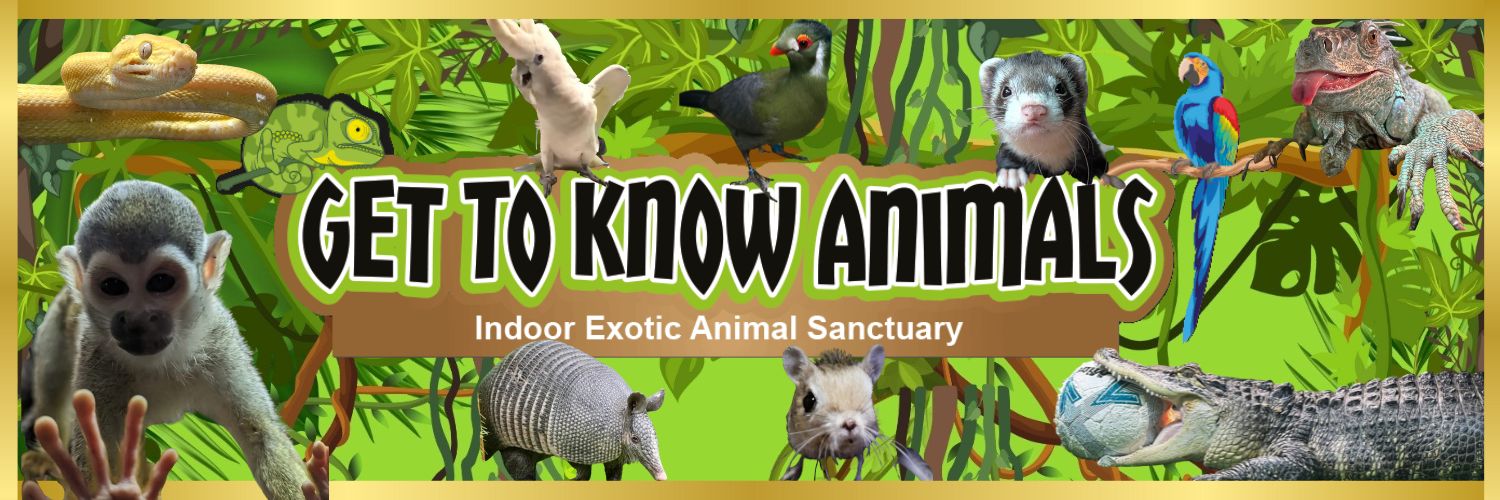 Get To Know Animals CIC banner