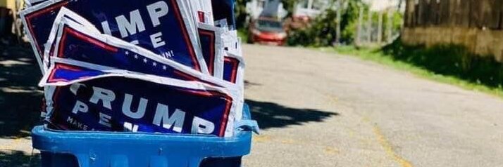 TommyMoobs banner