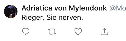 Maximilian Rieger banner