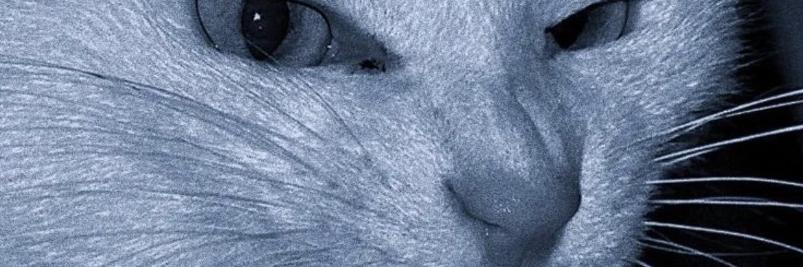 emholyy's profile banner image