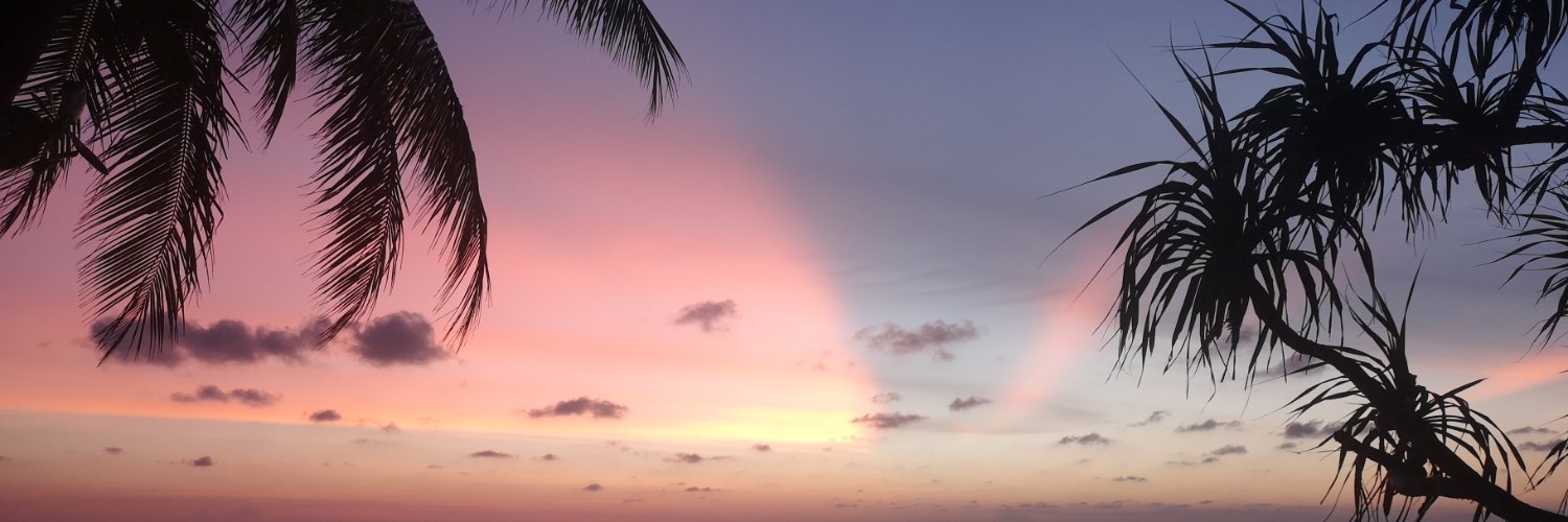 pesnoo's profile banner image