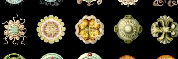 nathanpsmad Profile Banner