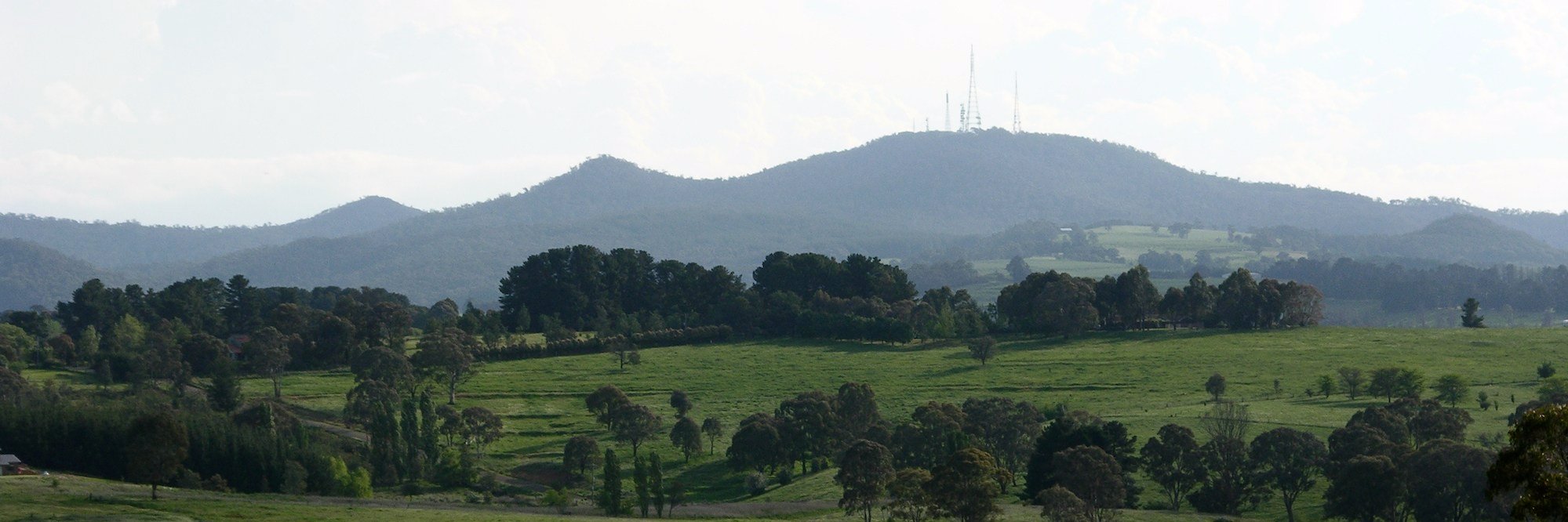Dr Rebecca Sutherland banner