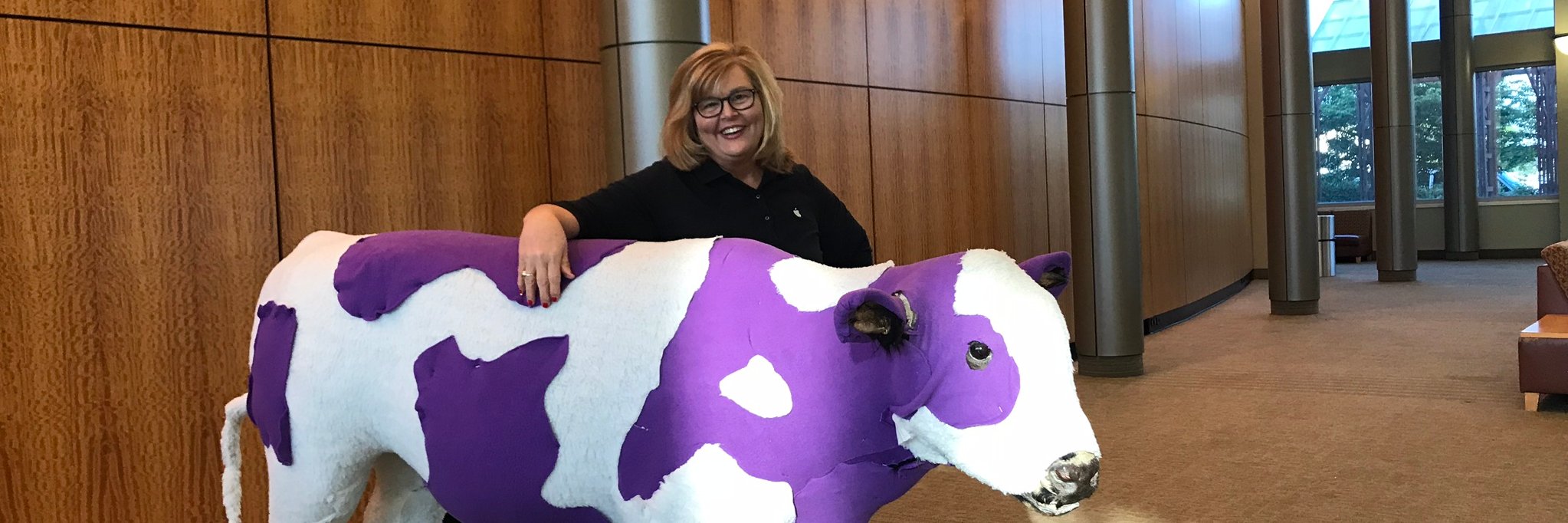  Terri Stice banner