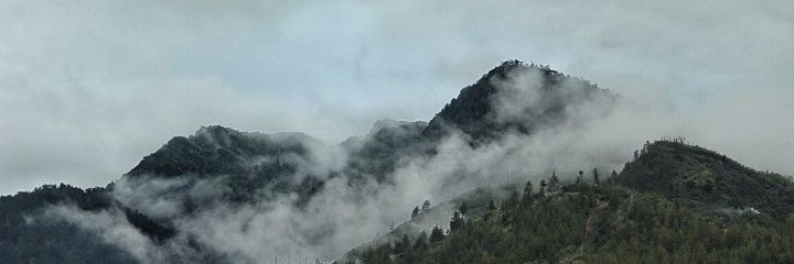 tashimlt18's profile banner image
