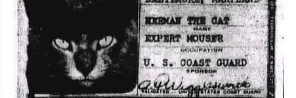 wildy Profile Banner