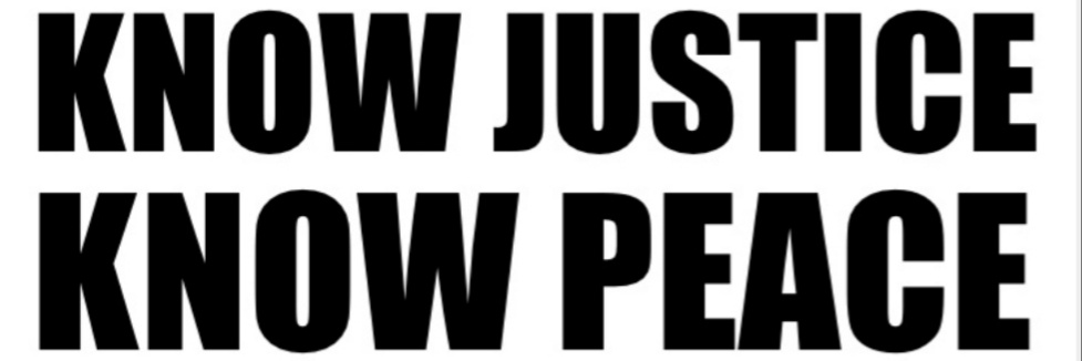 Amber Fischer banner