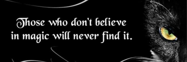 Madde249 Profile Banner