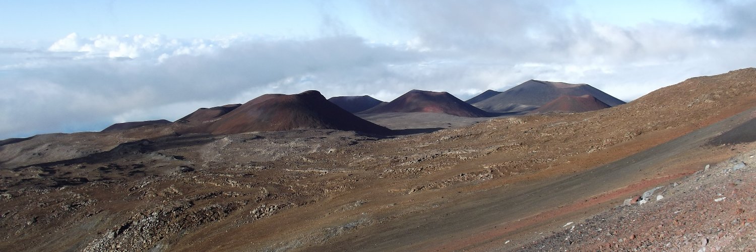 Daniel Tigard banner