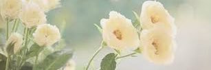 sfsfmrmr's profile banner image