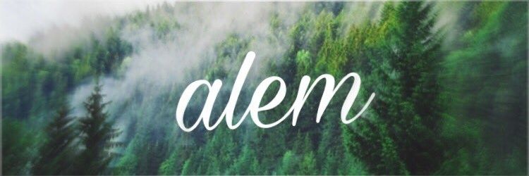 Alem👑 banner