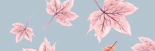 NoMasElisa's profile banner image