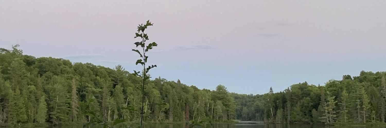 _flleur's profile banner image