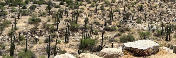 Mrs_Ledford11 Profile Banner