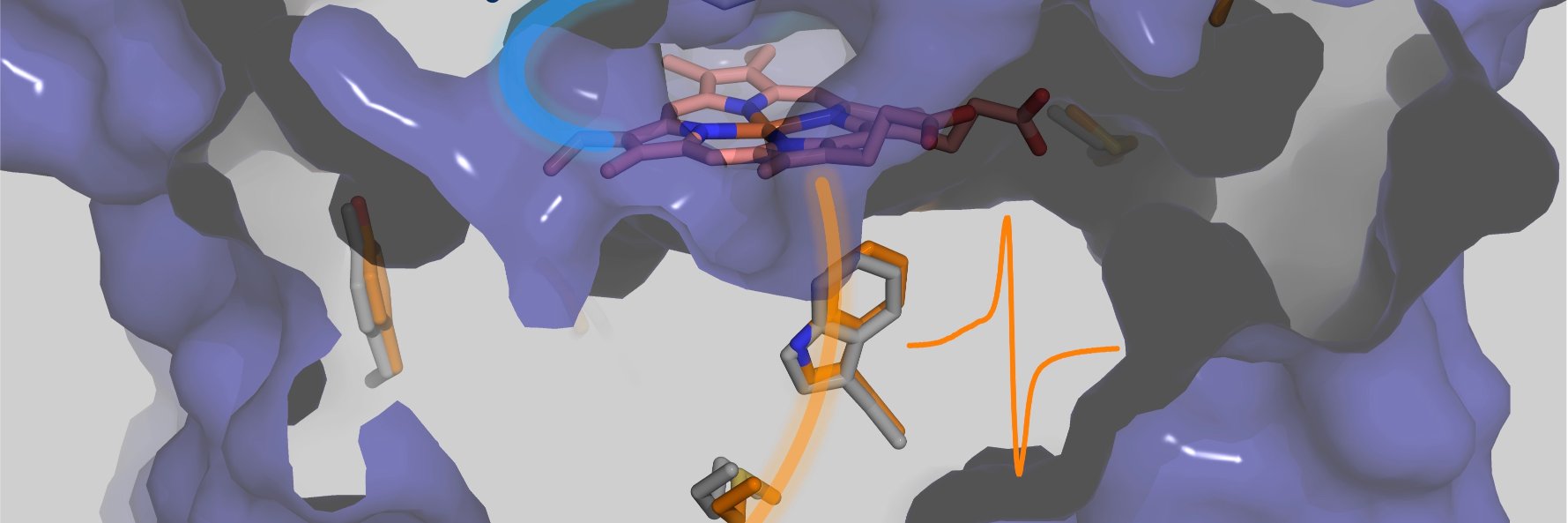 AuburnRadical's profile banner image