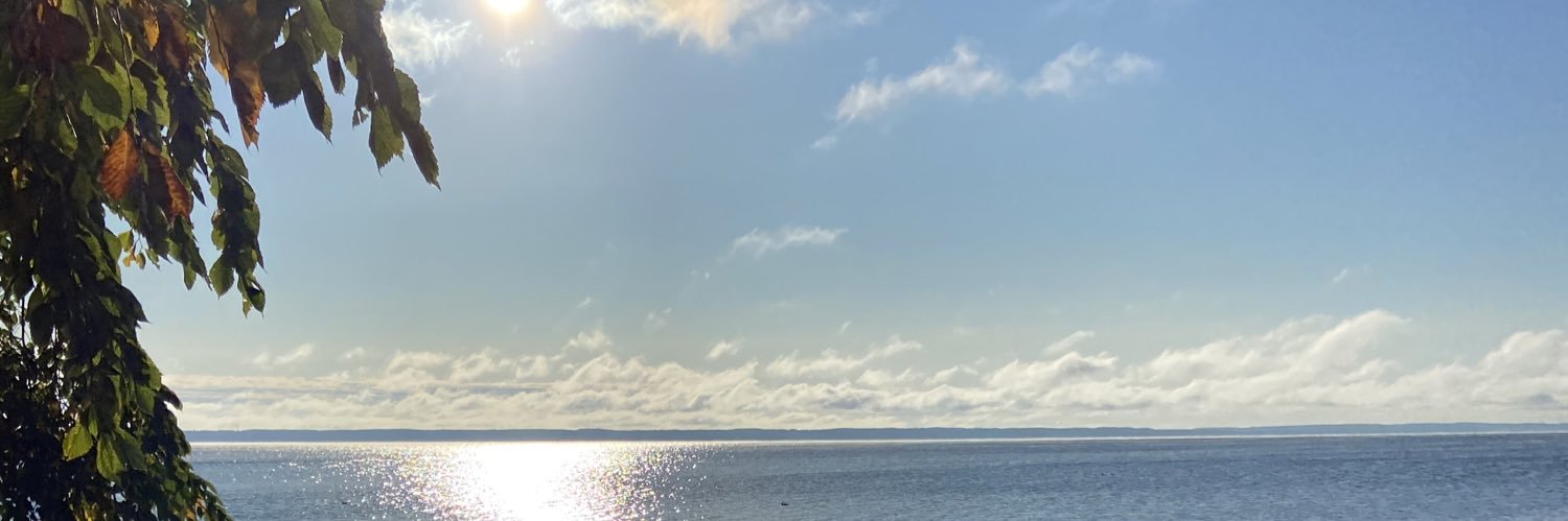 Bailey Raab banner