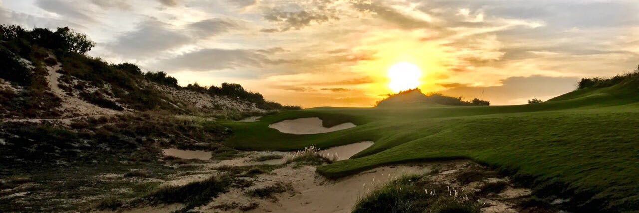 Ali MacFadyen banner