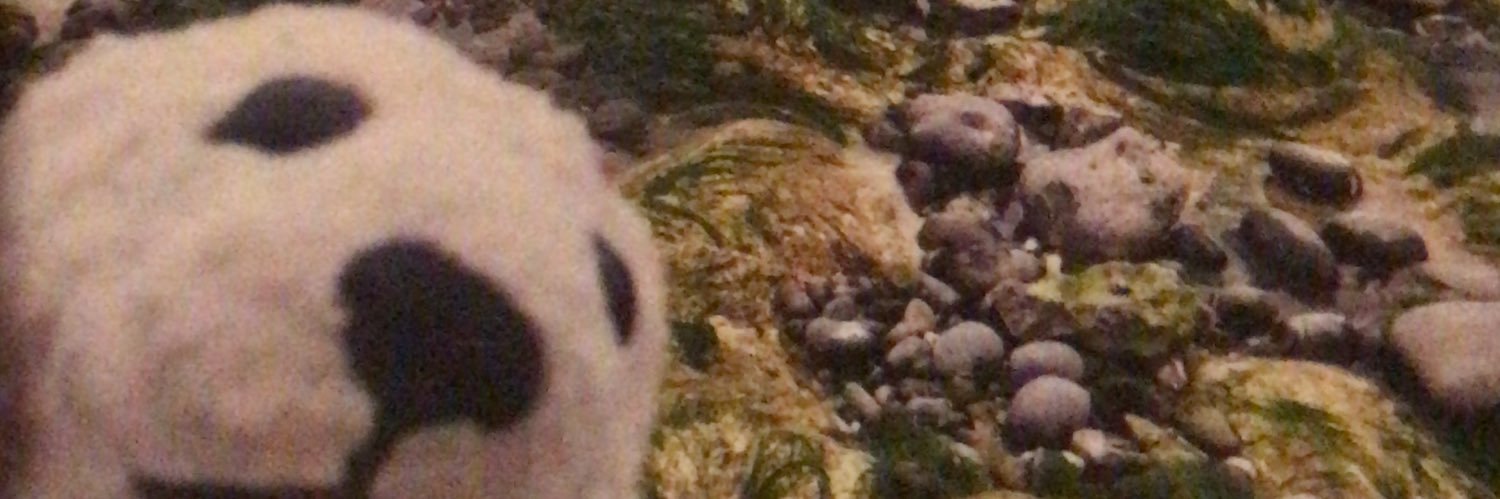 meikothesatsuma's profile banner image