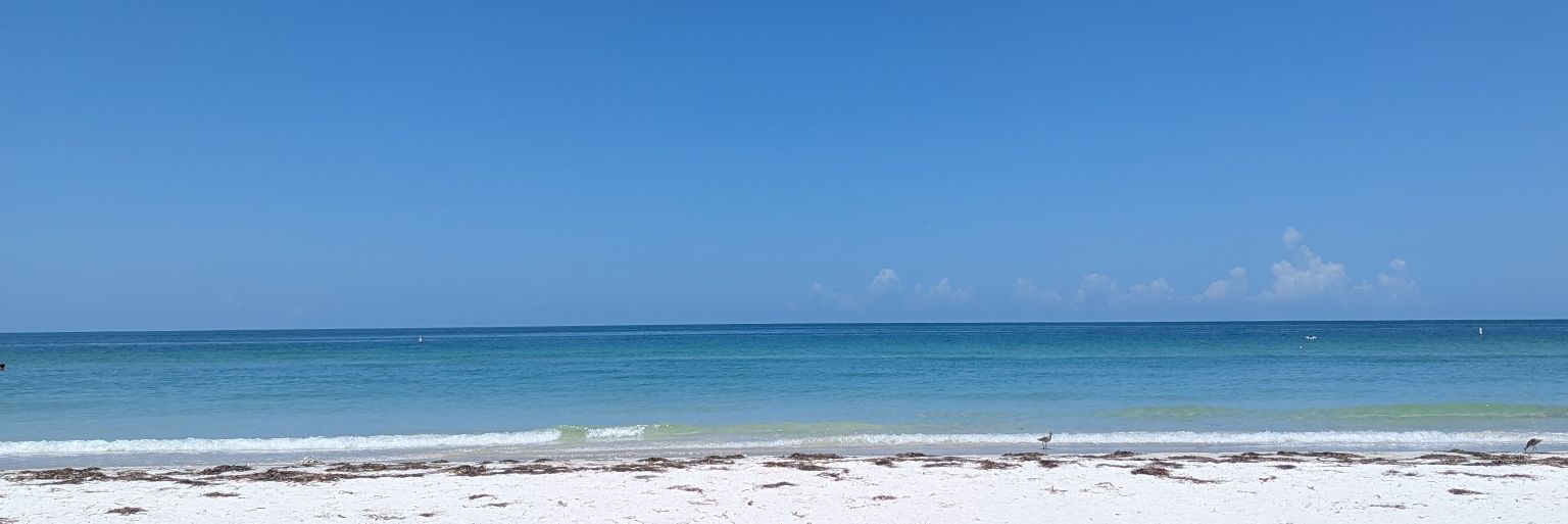 Lauren Vincent banner