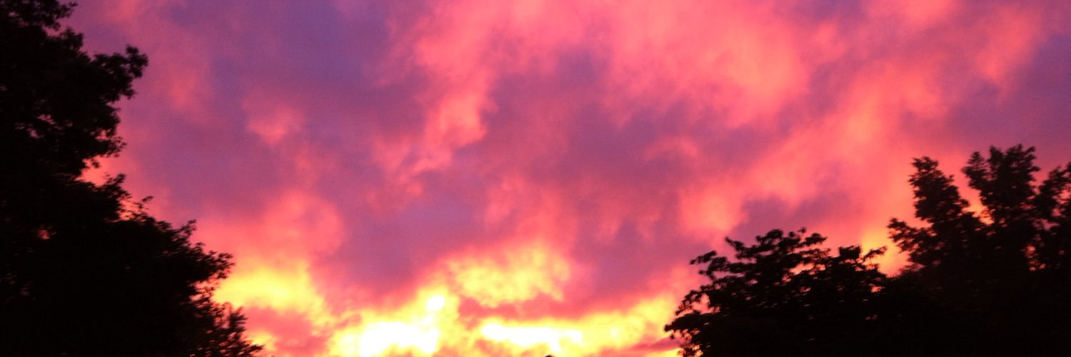 bobtboden's profile banner image