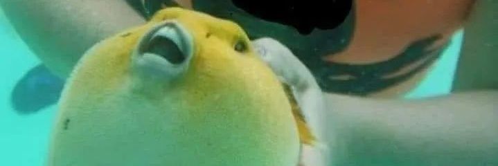 Tasteless_Gal's profile banner image