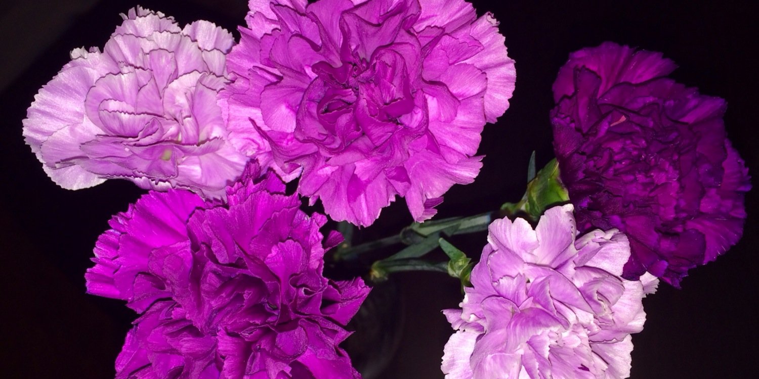 randi_b12's profile banner image