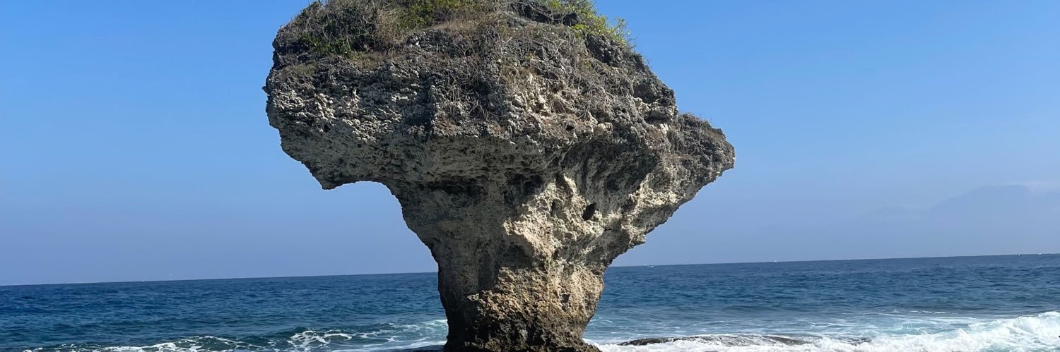 Billy Malherbe banner