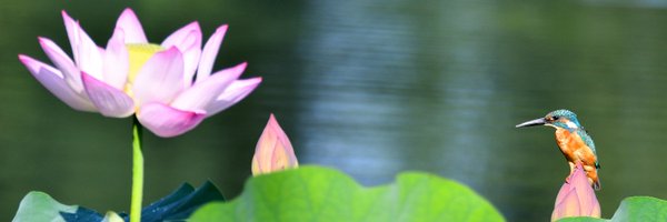 fyaPUa8HWSmv59r Profile Banner