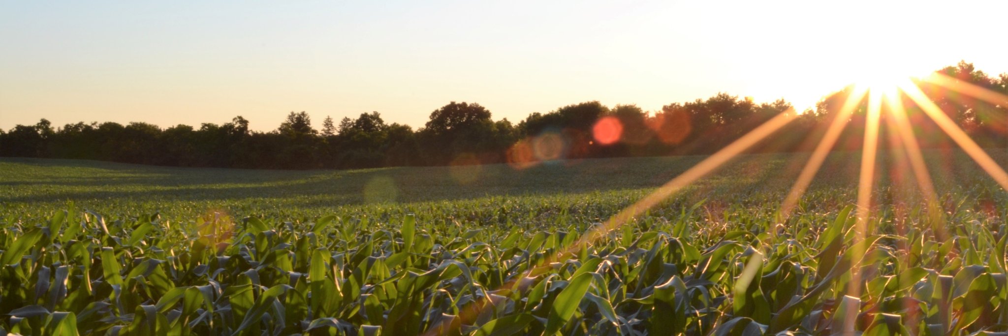 Precision Ag Solutions banner