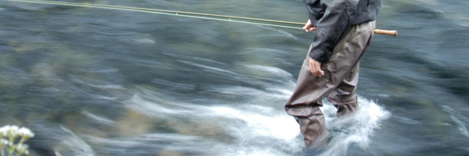 beetlezap's profile banner image