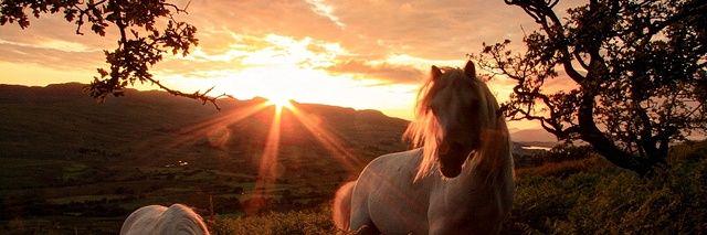 LiliDluk's profile banner image