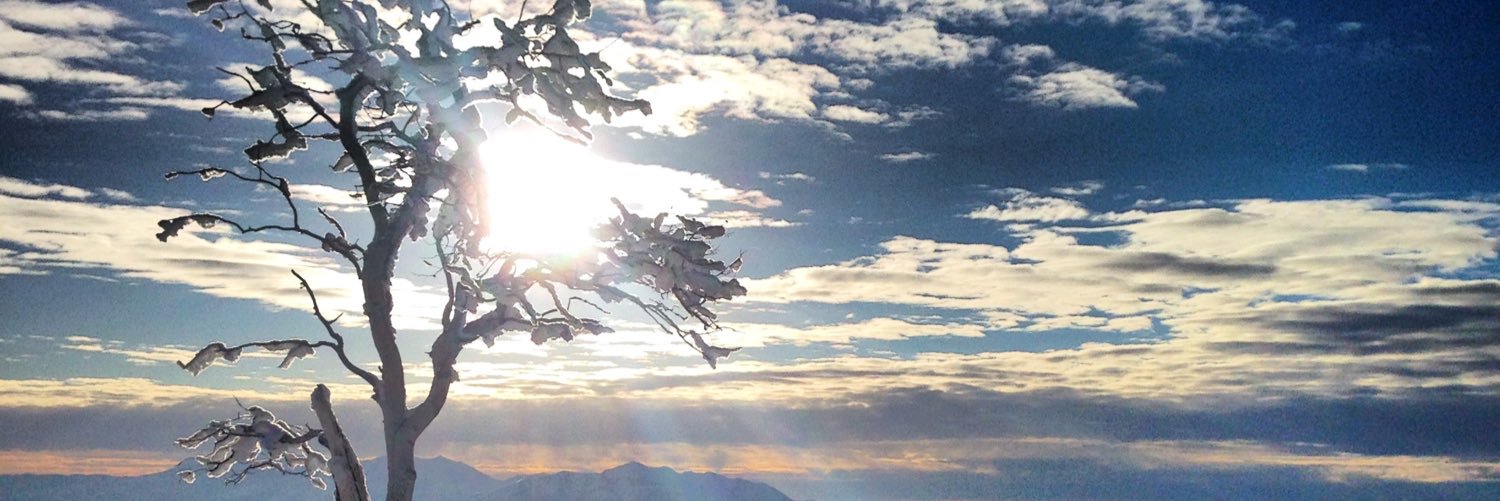 ChapmanDPT's profile banner image