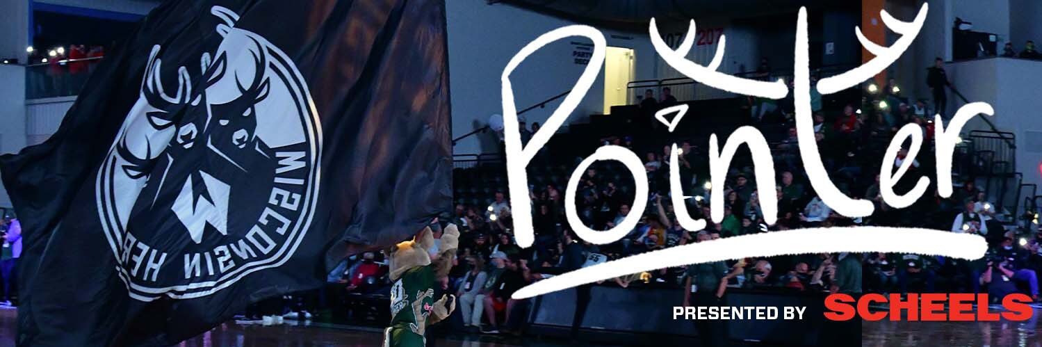 Pointer banner