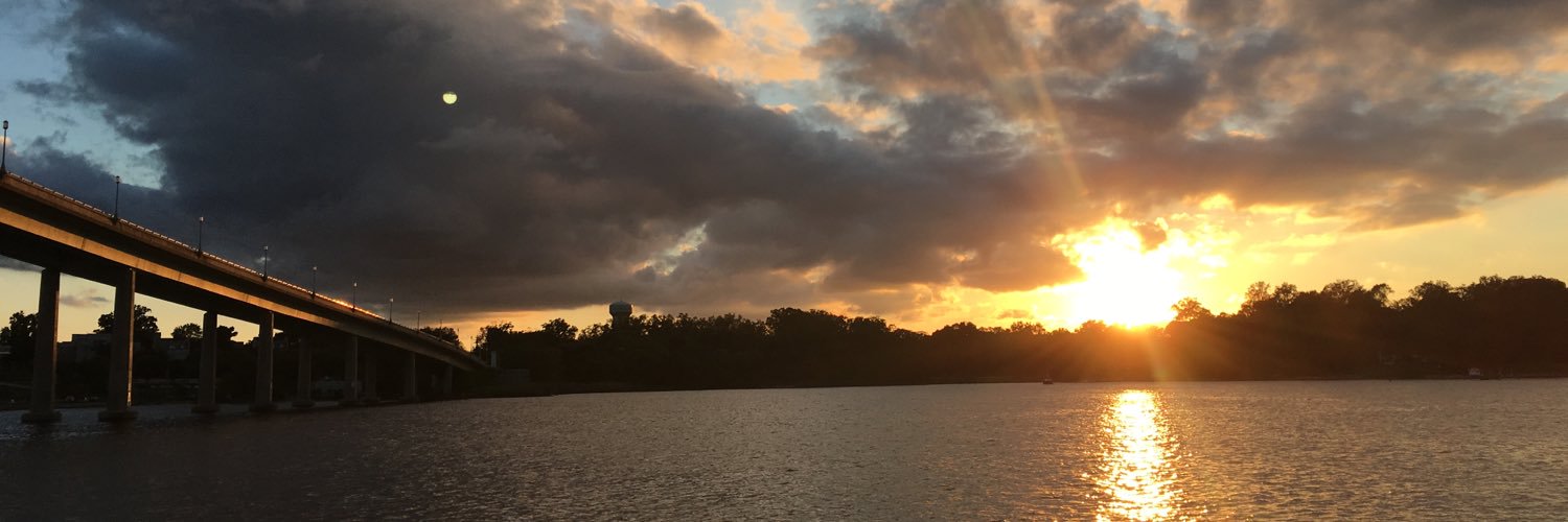 mydogsbrain's profile banner image