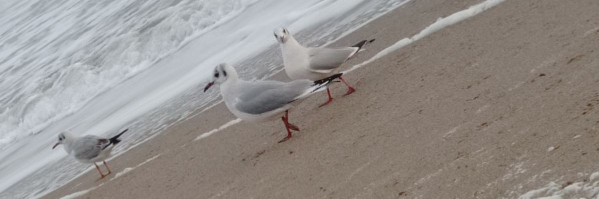 1lave2's profile banner image