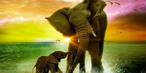 BeckyMaeder's profile banner image