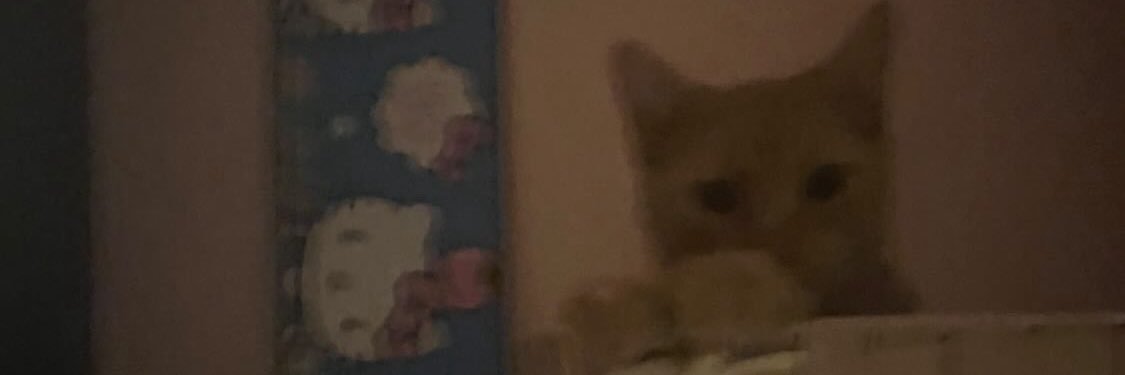 defresaycoco's profile banner image