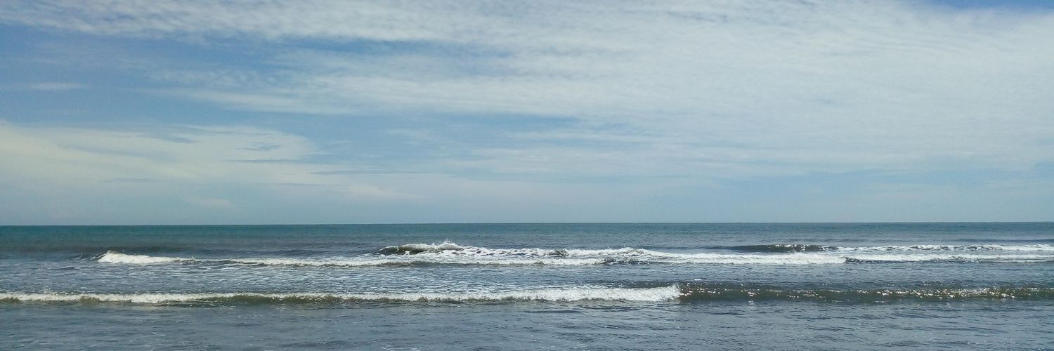 luiseladiog's profile banner image